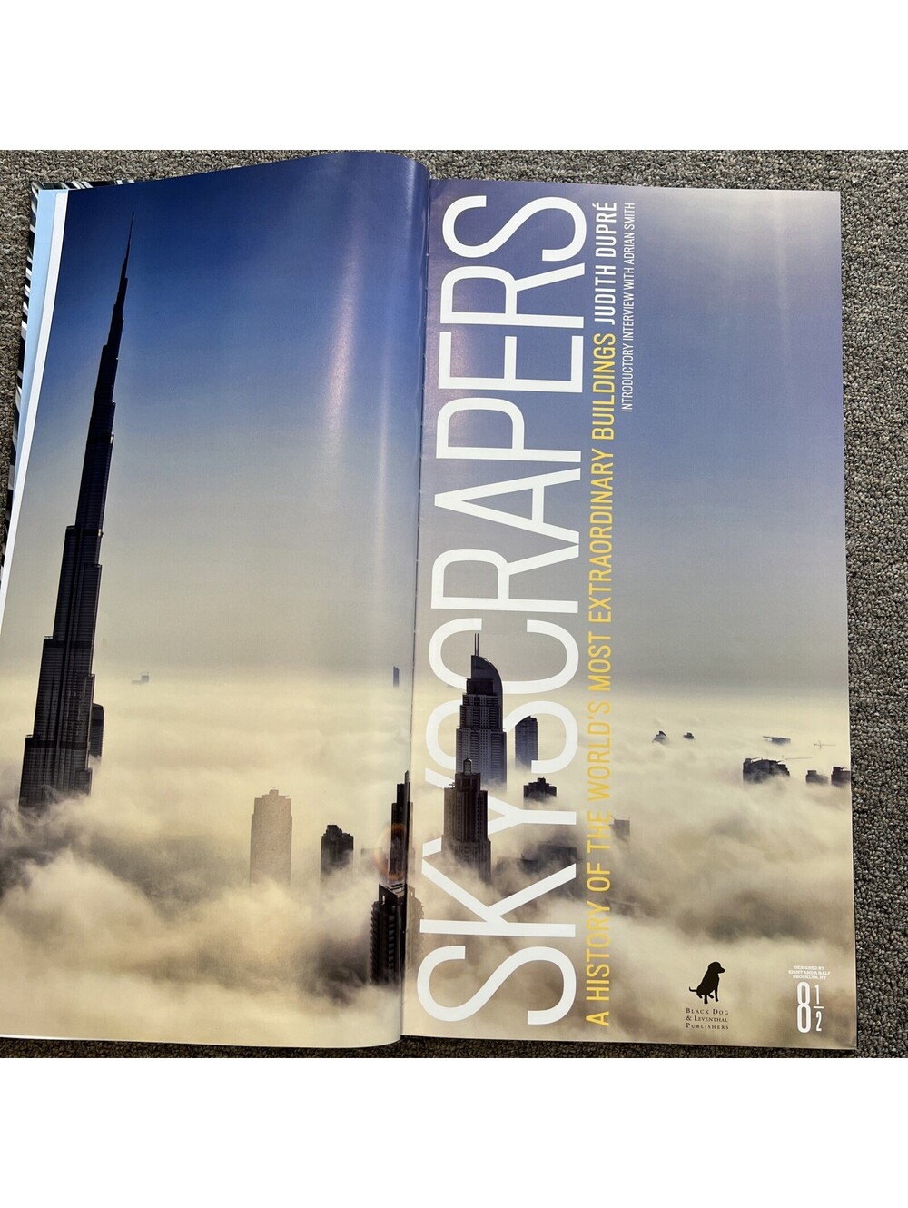 Skyscrapers by Judith Dupre